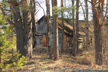 Fototapeta na wymiar Abandoned house in the forest on a spring sunny day
