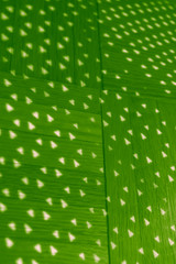 Vertical interwoven reflection background pattern in green and white