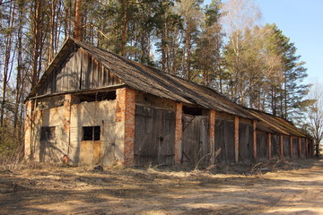 Fototapeta na wymiar Rural landscape - abandoned big long brick shed on forest background on a Sunny spring day