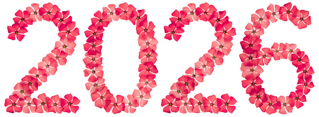 Inscription 2026, from natural red flowers of periwinkle, isolated on white background