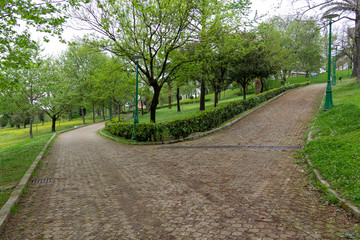 Crossroads in the park