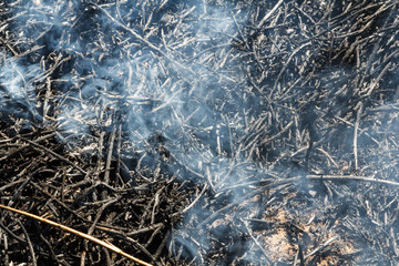 Fototapeta na wymiar Firefighters work. Burning grass field in the spring