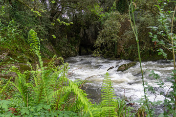 River getting inside a cave
