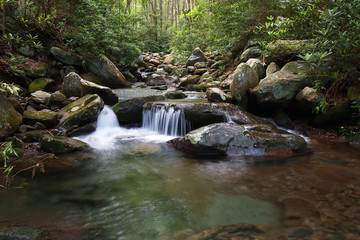 Obraz premium Trailside creek in the Great Smoky Mountains National Park, Tennessee, in early summer.
