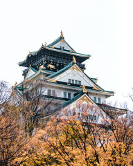 Naklejka premium Osaka Castle in Japan