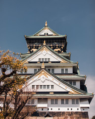 Fototapeta premium Osaka Castle surrounded with trees and cherry blossoms in Japan