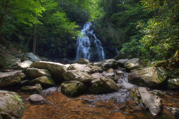 Fototapeta premium Spruce Flats Falls in the Great Smoky Mountains National Park, Tennessee, in early summer.