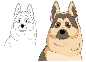 Sketch Portrait of a beautiful German Shepherd. Illustration of german shepherd head freehand drawing. Vector art good for coloring book for children.