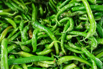 organic fresh green pepper