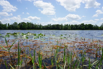 lake 2