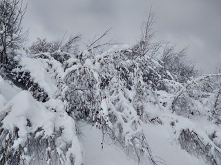 Bonitos Paisajes de invierno con monte y árboles cargados de nieve en pueblo de Parva,...