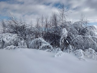 Bonitos Paisajes de invierno con monte y árboles cargados de nieve en pueblo de Parva, Rumanía,Transilvania