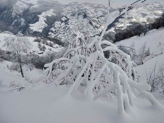 Bonitos Paisajes de invierno con monte y árboles cargados de nieve en pueblo de Parva,...