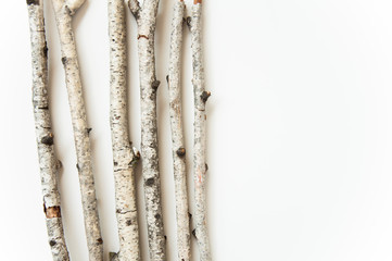 Dry old birch tree branches on a white background. Natural materials background. White tree bark.