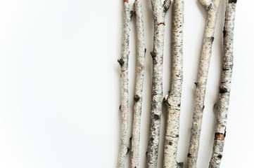 Dry old birch tree branches on a white background. Natural materials background. White tree bark.