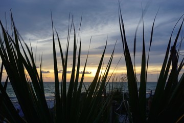 beach sunset 9