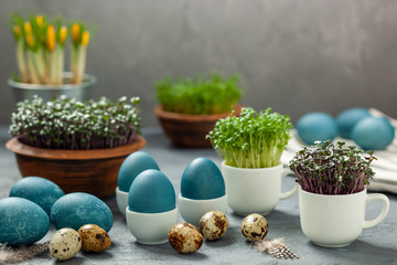Wielkanoc - jaja barwione czerwoną kapustą, jaja przepiórcze, rzeżucha i czerwona kapusta w filiżankach © Grzej