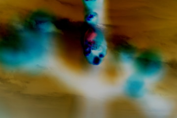 Abstract photography, from the small world