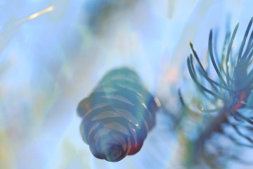 Abstract photography, from the small world