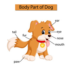 Diagram showing body part of dog
