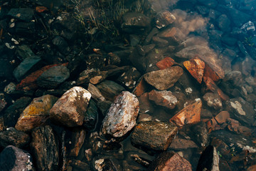 Plants and stones on bottom of mountain lake with clean water close-up. Texture of smooth pure water surface. Natural background with underwater vegetation in transparent water. Clear water of lake.