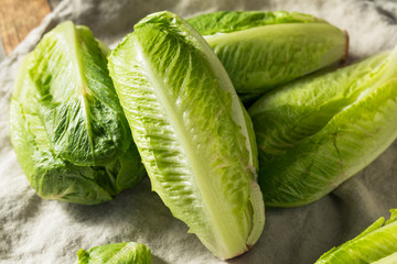 Organic Healthy Green Romaine Lettuce