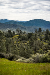 Fototapeta na wymiar Central California Landscape