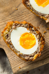 Homemade English Scotch Eggs