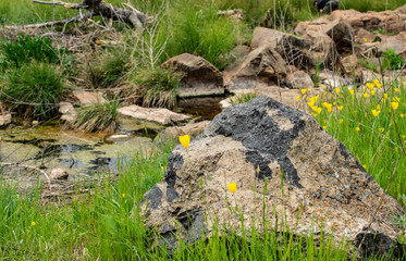 Natural Rock Texture