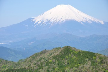 Fototapeta premium Góra Fuji w zieleni góry