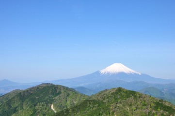 Fototapeta premium Mt Fuji świeża zieleń i błękitne niebo