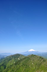 Fototapeta premium Mt Fuji świeża zieleń i błękitne niebo