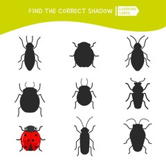 Educational  game for children. Find the right shadow. Kids activity with cartoon cute ladybug.