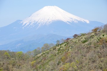 春色の山地に富士山