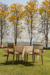 Obraz premium bench in the park