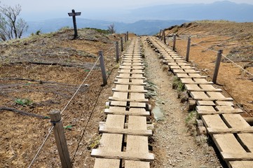 丹沢 大倉尾根の花立