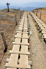 丹沢 大倉尾根の花立