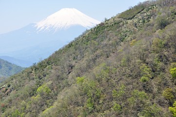 Fototapeta na wymiar 早春の丹沢山地に富士山