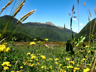 Scenery of the Southern Alps