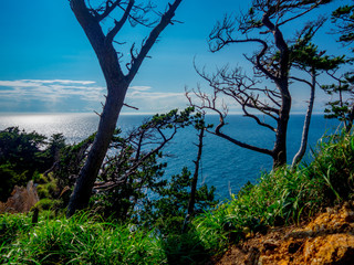 【静岡県伊豆半島ジオパーク】夏の西伊豆黄金崎の風景