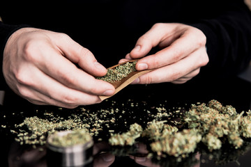 Man preparing and rolling marijuana cannabis joint. Close up of addict lighting up marijuana joint...