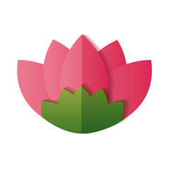 flower leaves nature