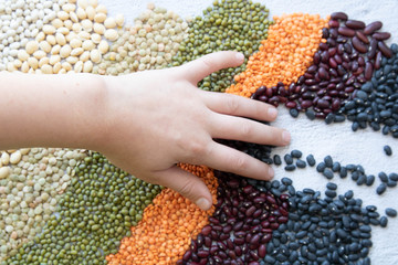 Hand destruction the colorful strips of legumes. baby playing of beans, concept early development,...