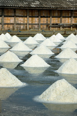 Salt field ready to be harvest in salt farm at Ban Laem-Thailand