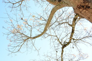 Inverno chegando no campo