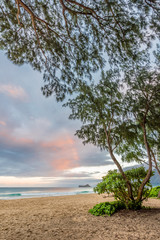 Waimanalo Beach, Rabbit Island and Ironwood Trees on the windward side of Oahu, Hawaii