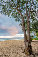 Waimanalo Beach, Rabbit Island and Ironwood Trees on the windward side of Oahu, Hawaii
