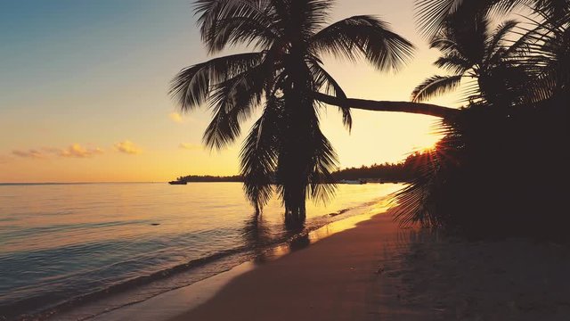 Sunrise over tropical island beach and palm trees. Punta Cana, Dominican Republic.