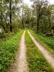 Fototapeta premium Path of land between trees and lawn, German countryside