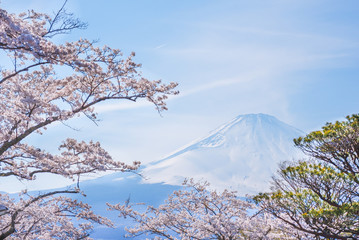 Mount Fuji